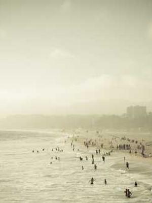 森林里的小治愈